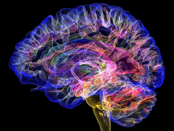 人体艺术按摩网站大脑植入物有助于严重头部损伤恢复